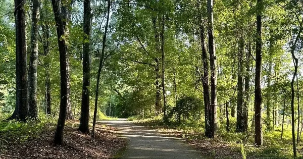 Rufus Stewart Park